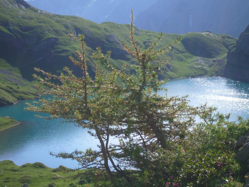 Der Iffigsee (2065 m)