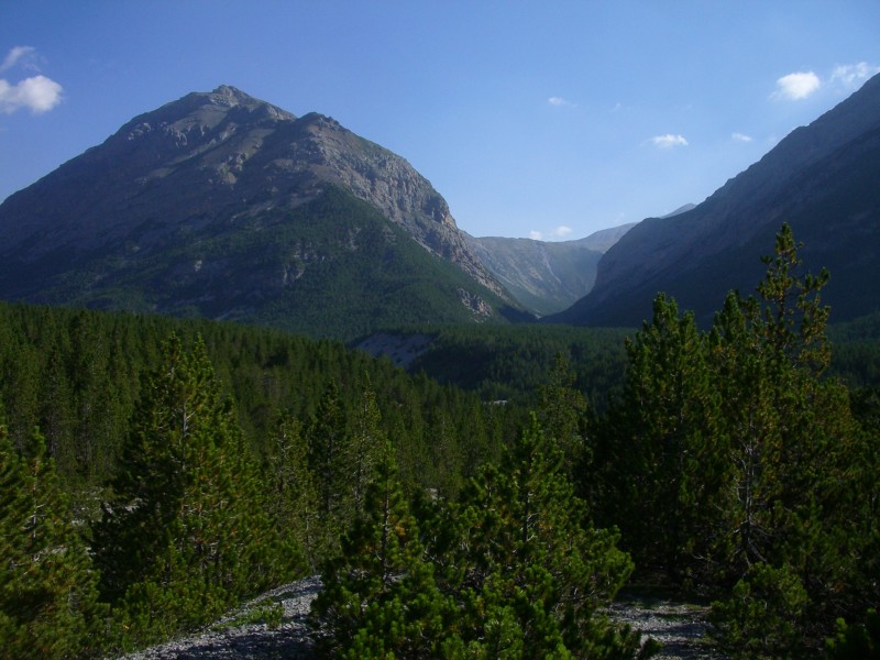 Blick ins Val Mora