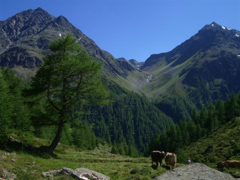 Piz dal Ras und Piz Murtaröl