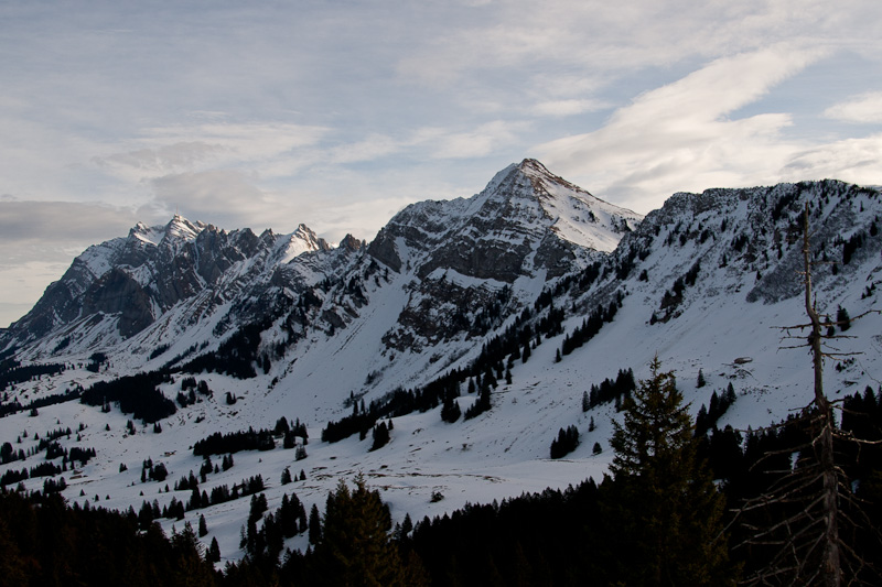 Säntis und Lütispitz