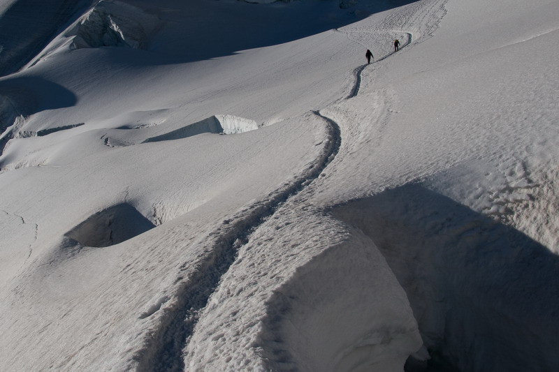 Im Aufstieg zum Piz Palü