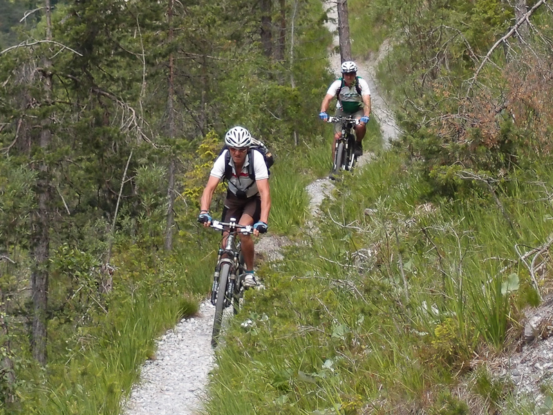 In der Rheinschlucht